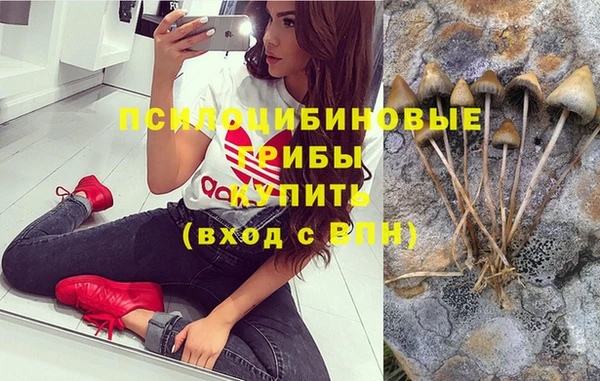 спиды Алексеевка