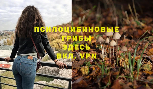 mix Алексин