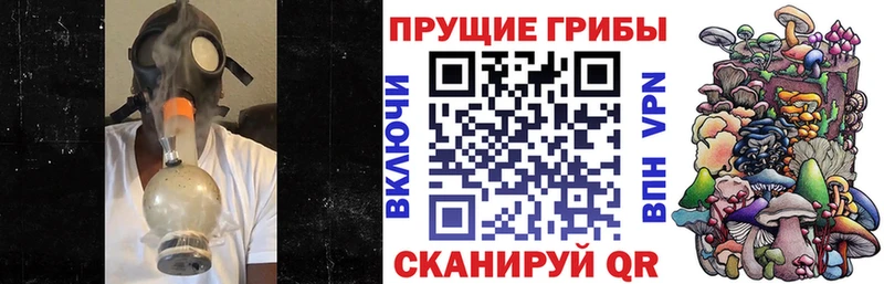Галлюциногенные грибы мицелий  Кувшиново 